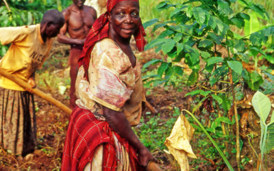 Building Women to Build Nigeria